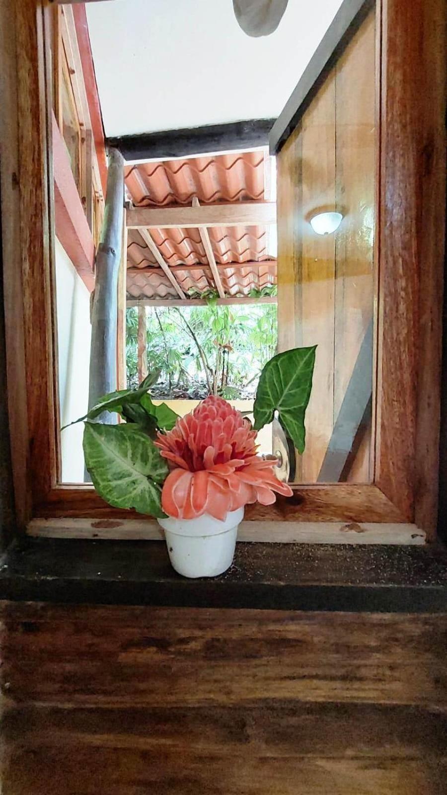 Se Ua Bed and Breakfast Manzanillo  Exteriör bild