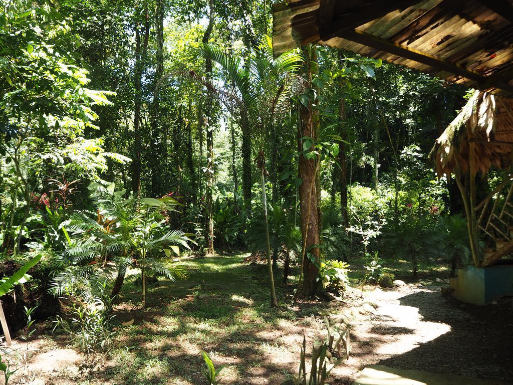 Se Ua Bed and Breakfast Manzanillo  Exteriör bild