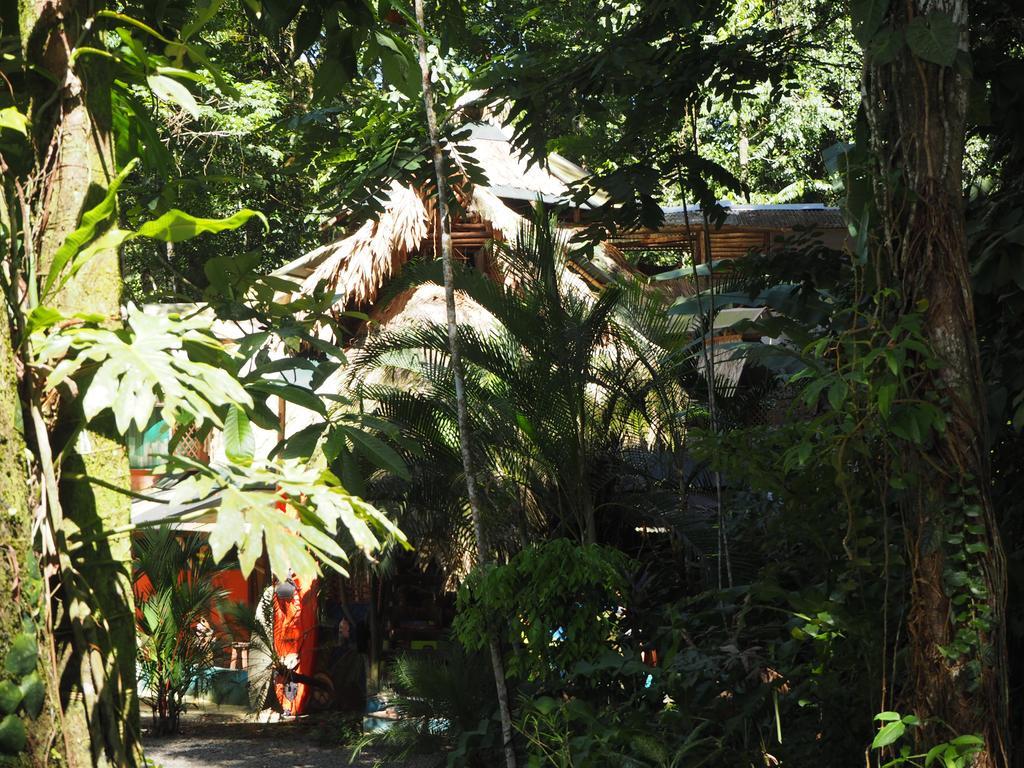 Se Ua Bed and Breakfast Manzanillo  Exteriör bild